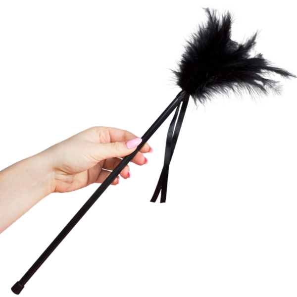 SECRETPLAY - PLUMES NOIRES 40 CM