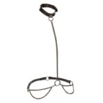 CALEXOTICS - EUPHORIA COLLIER ET LAISSE CHAINE – Image 2