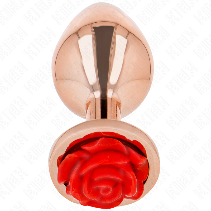 img_199031_56d6f1f87f6df48d164764278f2225c0_1 KINK - PLUG ANAL OR ROSE AVEC ROSE ROUGE S – Image 1