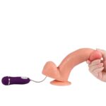 SHEQU - PHANTOM DILDO VIBRANT AVEC TÉLÉCOMMANDE 20 CM – Image 5