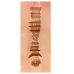 SHEQU - MASTURBATEUR VAGIN EDITH – Image 4