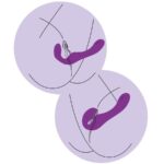 XOCOON - VIBRATEUR SANS STRAPLESS 2 EN 1 AVEC TÉLÉCOMMANDE VIOLET – Image 14